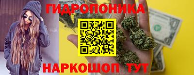 гашик Свободный